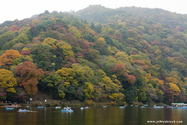 kyoto_10-11-14_12-53-05_158.jpg