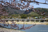 kyoto_13-04-08_09-59-58_002.jpg