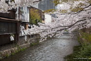 Kyoto_13-04-02_07-26-31_132.jpg