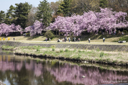 Kyoto_13-04-05_09-15-37_003.jpg