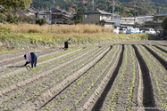 kyoto_10-11-16_13-52-51_428.jpg