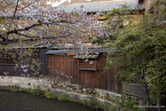 kyoto_13-04-08_17-55-31_001.jpg