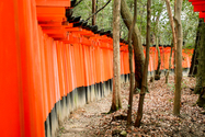 japon_kyoto_08-02-29-14-16-11-095.jpg