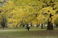 kyoto_10-11-16_10-22-00_377.jpg