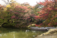 kyoto_10-11-16_11-13-42_388.jpg