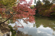 kyoto_10-11-16_11-14-13_390.jpg