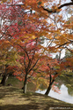 kyoto_10-11-16_11-14-42_391.jpg