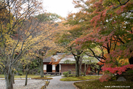 kyoto_10-11-16_11-48-12_417.jpg