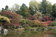 kyoto_10-11-16_11-50-28_420.jpg