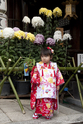 kyoto_10-11-15_10-51-54_257.jpg