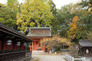 kyoto_10-11-15_10-58-52_264.jpg