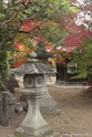 kyoto_10-11-15_11-00-30_266.jpg