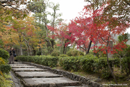 kyoto_10-11-14_10-47-32_100.jpg