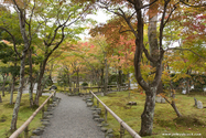 kyoto_10-11-14_10-49-39_101.jpg