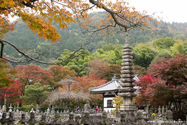 kyoto_10-11-14_10-50-21_102.jpg