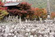 kyoto_10-11-14_10-54-59_106.jpg