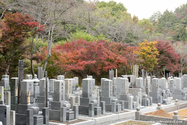 kyoto_10-11-14_11-02-01_113.jpg