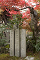 kyoto_10-11-14_11-11-23_119.jpg