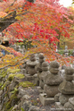 kyoto_10-11-14_11-22-38_128.jpg