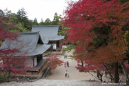 kyoto_10-11-17_15-08-49_619.jpg