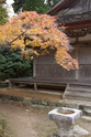 kyoto_10-11-17_15-35-14_623.jpg