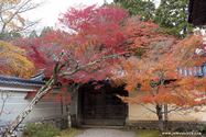 kyoto_10-11-17_15-41-21_625.jpg