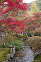 kyoto_10-11-15_13-26-33_295.jpg