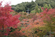 kyoto_10-11-15_13-30-24_296.jpg