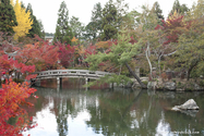 kyoto_10-11-15_13-35-07_299.jpg