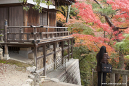 kyoto_10-11-15_14-53-36_337.jpg