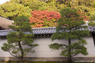 kyoto_10-11-15_15-55-12_358.jpg