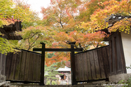 kyoto_10-11-14_11-58-32_141.jpg