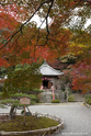 kyoto_10-11-14_11-59-10_142.jpg