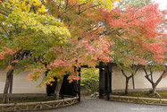 kyoto_10-11-14_11-59-50_143.jpg