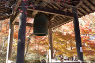 kyoto_10-11-17_13-25-52_578.jpg