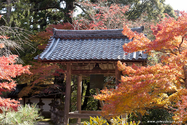 kyoto_10-11-17_13-36-18_585.jpg