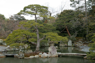 japon_kyoto_08-02-27-10-21-33-040.jpg