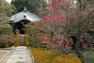 japon_kyoto_08-02-27-10-32-51-064.jpg