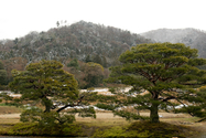 japon_kyoto_08-02-28-10-10-35-102.jpg