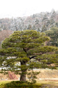 japon_kyoto_08-02-28-10-11-19-006.jpg