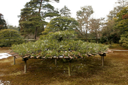 japon_kyoto_08-02-28-10-18-54-103.jpg