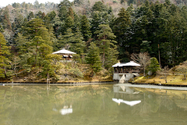 japon_kyoto_08-02-28-11-03-54-040.jpg