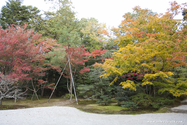 kyoto_10-11-16_15-24-03_455.jpg