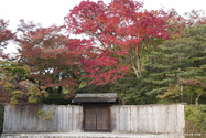 kyoto_10-11-16_15-47-36_461.jpg