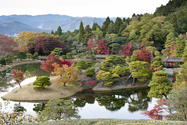 kyoto_10-11-16_15-52-30_462.jpg