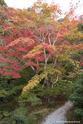 kyoto_10-11-16_15-54-41_464.jpg