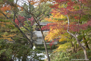 kyoto_10-11-16_15-59-31_466.jpg