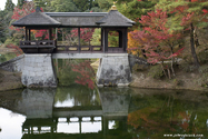 kyoto_10-11-16_16-00-45_467.jpg