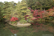 kyoto_10-11-16_16-07-58_475.jpg