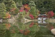 kyoto_10-11-16_16-11-26_481.jpg